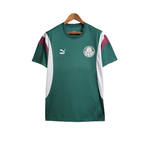 Camisa Palmeiras Treino 23/24 - Torcedor Puma Masculina - Verde e Branco