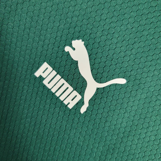 Camisa Palmeiras Treino 23/24 - Torcedor Puma Masculina - Verde e Branco