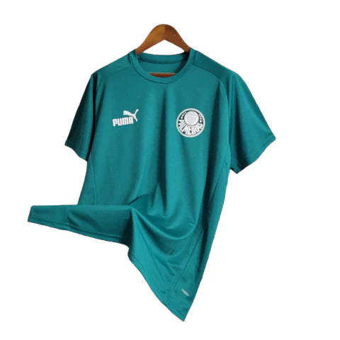 Camisa Palmeiras Treino 23/24 - Torcedor Puma Masculina - Verde